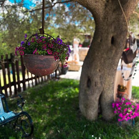 Agriturismo Le Faeta Arpino Bagian luar foto