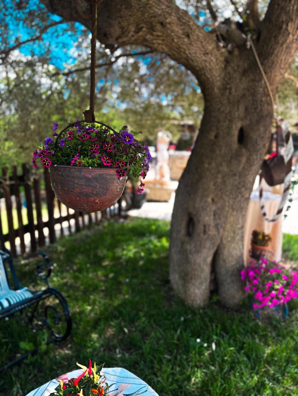 Agriturismo Le Faeta Arpino Bagian luar foto