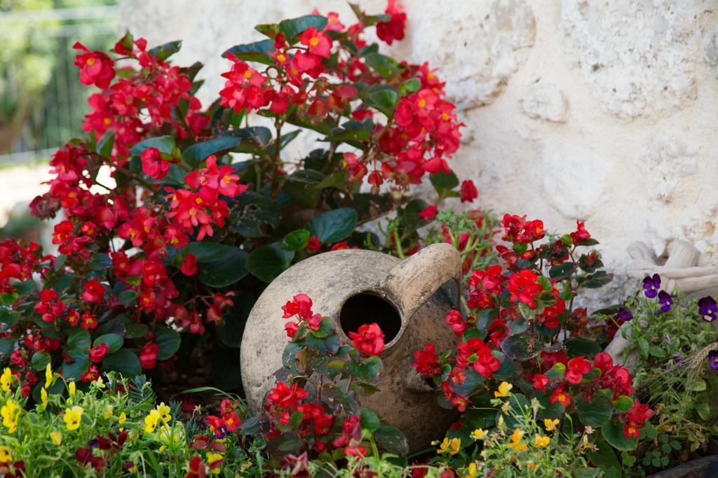 Agriturismo Le Faeta Arpino Bagian luar foto