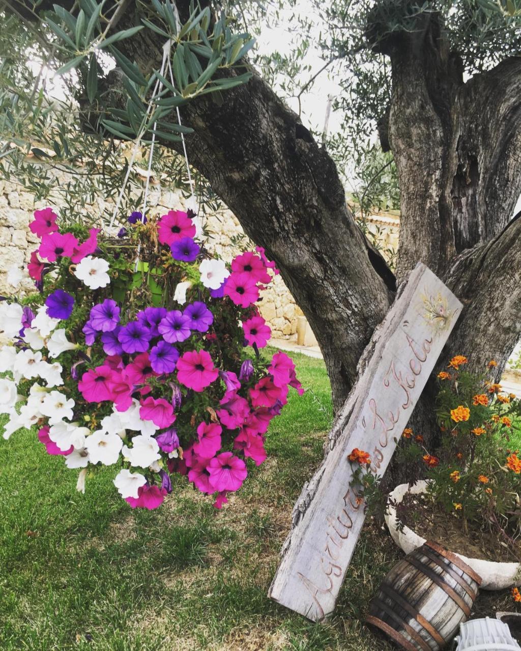 Agriturismo Le Faeta Arpino Bagian luar foto
